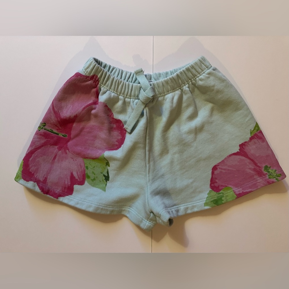 Zara Large Floral Short in Size 10 EUC